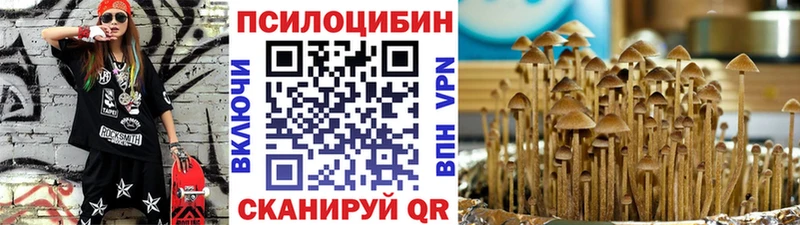 Галлюциногенные грибы Psilocybine cubensis  Купить где  Шадринск 